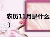 农历11月是什么星座（农历11月的星座介绍）