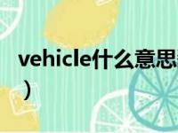 vehicle什么意思翻译中文（vehicle什么意思）