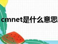 cmnet是什么意思啊（英语cmnet什么意思）