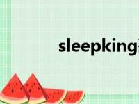 sleepking歌手（sleepking）