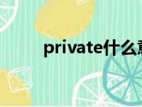 private什么意思（带你了解一下）