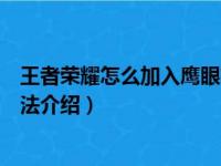 王者荣耀怎么加入鹰眼护卫队（王者荣耀加入鹰眼护卫队方法介绍）