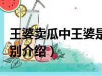 王婆卖瓜中王婆是男是女（王婆卖瓜中王婆性别介绍）