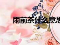 雨前茶什么意思（关于雨前茶的介绍）