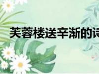 芙蓉楼送辛渐的诗意（芙蓉楼送辛渐赏析）