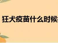 狂犬疫苗什么时候打（狂犬疫苗的注射时间）