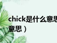 chick是什么意思中文怎么读（chick是什么意思）