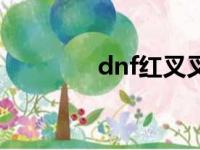 dnf红叉叉（dnf出现红叉）