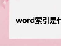 word索引是什么意思（word索引）