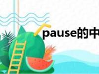 pause的中文意思（paused）