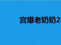 宫爆老奶奶2内购（宫爆老奶奶2）