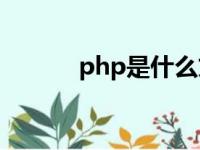 php是什么文件（index php）