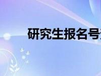 研究生报名号查询（研究生报名号）