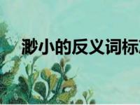 渺小的反义词标准答案（渺小的反义词）