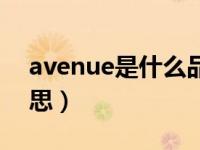 avenue是什么品牌衣服（avenue是什么意思）