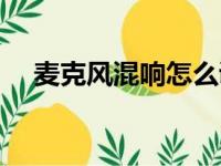 麦克风混响怎么调节（麦克风混响软件）