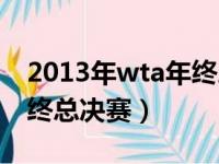 2013年wta年终总决赛冠军（2013年wta年终总决赛）