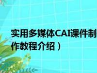 实用多媒体CAI课件制作教程（关于实用多媒体CAI课件制作教程介绍）