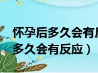 怀孕后多久会有反应?比如口味啥的（怀孕后多久会有反应）