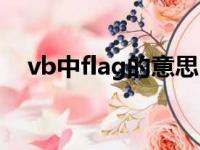 vb中flag的意思（vb中flag是什么意思）