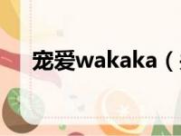 宠爱wakaka（关于宠爱wakaka介绍）