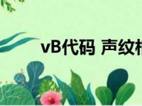 vB代码 声纹相似度计算（vb代码）