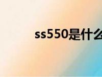 ss550是什么型号的胶（ss55ss）