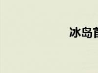 冰岛首都池塘浓缩。