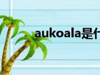 aukoala是什么牌子（aukoala）