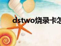 dstwo烧录卡怎么用（dstwo烧录卡）