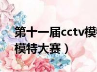 第十一届cctv模特大赛冠军（第十一届cctv模特大赛）