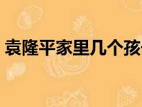 袁隆平家里几个孩子（袁隆平家里有多少人）