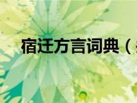 宿迁方言词典（关于宿迁方言词典介绍）