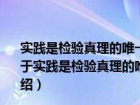 实践是检验真理的唯一标准纪念真理标准问题讨论30年（关于实践是检验真理的唯一标准纪念真理标准问题讨论30年介绍）