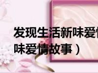 发现生活新味爱情故事 电视剧（发现生活新味爱情故事）