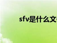 sfv是什么文件（sfv是什么文件）