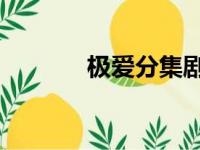 极爱分集剧情（极爱 电视剧）