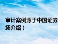 审计案例源于中国证券市场（关于审计案例源于中国证券市场介绍）