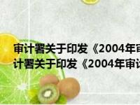 审计署关于印发《2004年审计信息化工作指导意见》的通知（关于审计署关于印发《2004年审计信息化工作指导意见》的通知介绍）