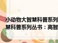 小动物大智慧科普系列丛书：高智商的鸟（关于小动物大智慧科普系列丛书：高智商的鸟介绍）