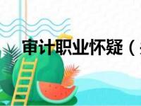 审计职业怀疑（关于审计职业怀疑介绍）