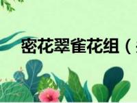 密花翠雀花组（关于密花翠雀花组介绍）