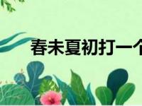 春未夏初打一个字（春末夏初打一字）