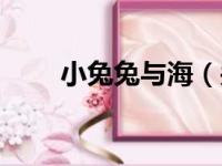 小兔兔与海（关于小兔兔与海介绍）