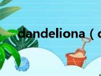 dandeliona（dandelion是什么软件）