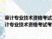 审计专业技术资格考试考点采分：审计理论与实务（关于审计专业技术资格考试考点采分：审计理论与实务介绍）