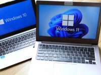 Windows11设置您应该选择哪种用户帐户类型