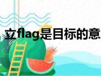 立flag是目标的意思吗（立flag是下决心吗）