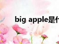 big apple是什么意思（big apple）