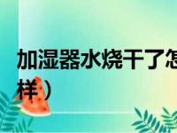 加湿器水烧干了怎么办（加湿器水烧干了会怎样）